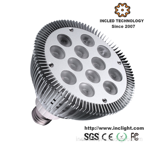 12W Epistar PAR30 LED Spotlight